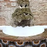 Homenfun Dalt Апартаменты